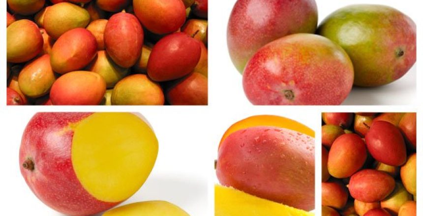 SAMADIS-MangoHeader-NL-640x400-ver1.171633